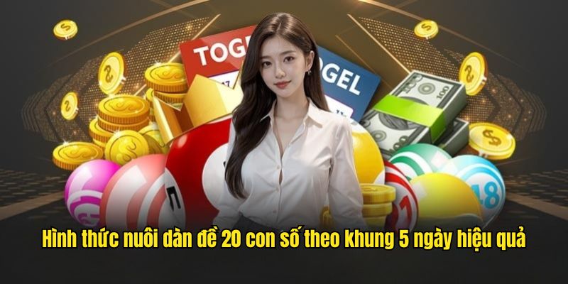 Hình thức nuôi dàn đề 20 con số theo khung 5 ngày hiệu quả