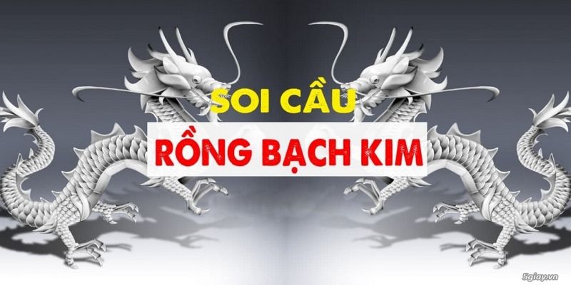 Hướng dẫn cách soi cầu Rồng Bạch Kim 98WIN chính xác