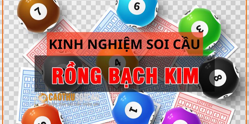 Kinh nghiệm soi cầu Rồng Bạch Kim từ các lô thủ