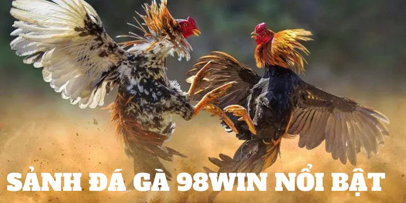 Sảnh đá gà hấp dẫn nhất 98win dành cho bạn 